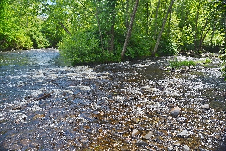 running creek
